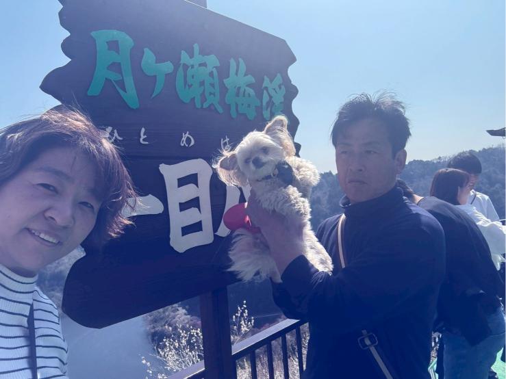 奈良県　月ヶ瀬梅林