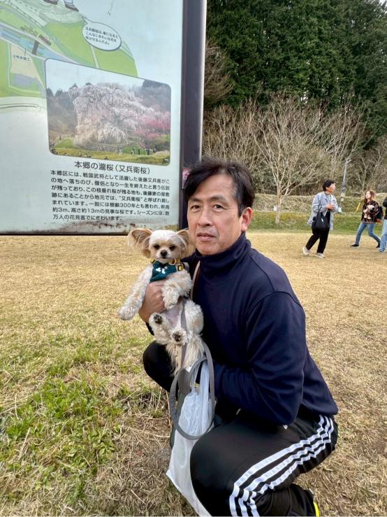 奈良県　又兵衛桜