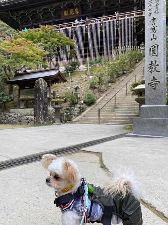 兵庫県　円教寺
