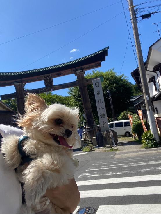 滋賀県　日牟礼八幡宮