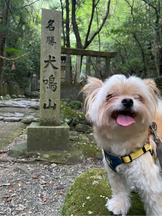 大阪府 犬鳴山