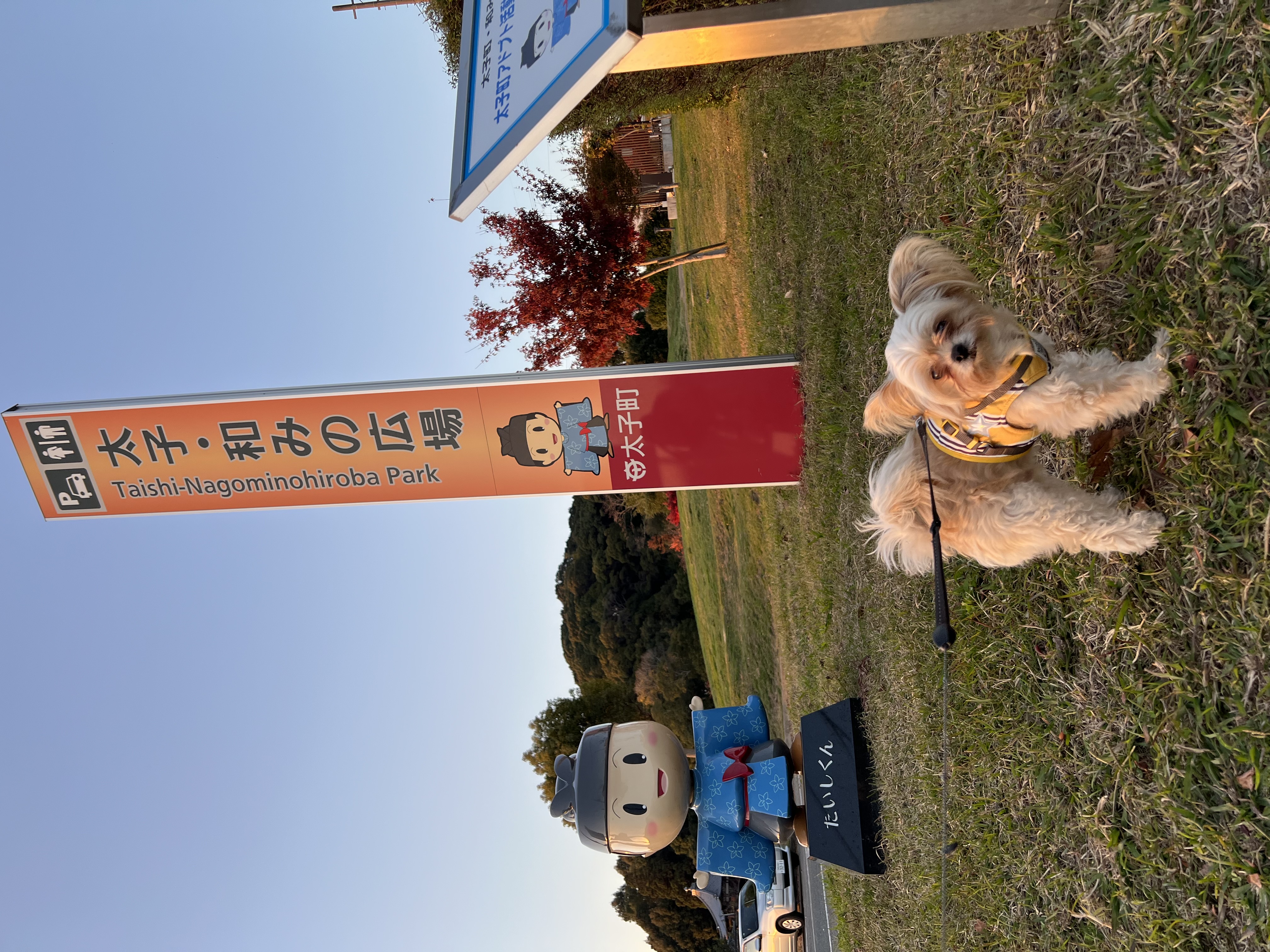 大阪府太子町　太子・和みの広場